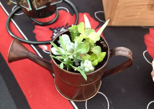 废弃的家具变成花卉的最佳容器,9个乡村风格的花盆改造