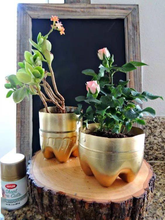 为盆栽花卉创造理想湿度 让花更美叶更绿的小窍门