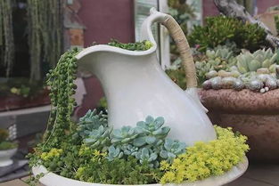 庭院花卉种植实拍 原来家里可以这么种花，花盆栽培植物的魅力